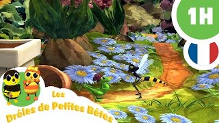 DRÔLES DE PETITES BÊTES  1 Heure  Compilation 02 [upl. by Ayotol407]