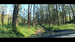 Deau River Kayaking adventure MORUYA NSW [upl. by Cerveny]