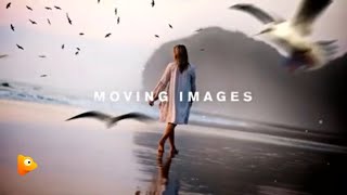 3D Photo Animation Video Maker Software Move Your Images from STATIC to STUNNING [upl. by Arch]