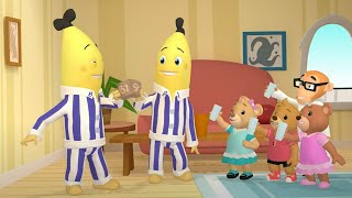 Banana Day  Bananas in Pyjamas Season 1  Full Episodes  Bananas In Pyjamas [upl. by Vallie]