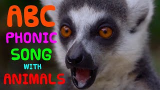 ABC of ANIMALS  kids animal alphabet phonics [upl. by Novyert]