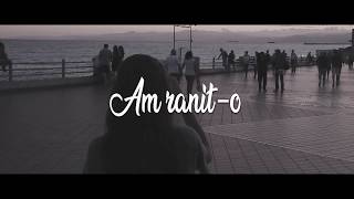 DMC  Am ranito  Lyrics Video [upl. by Enilhtak]