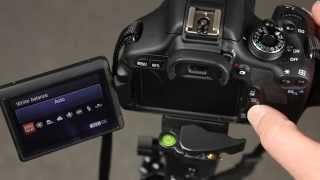 Canon 600D How to set the white balance [upl. by Akerehs207]