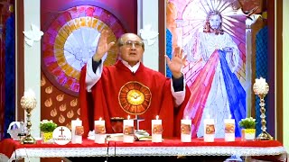 En Vivo Santa Eucaristía de Hoy Por el Padre Manuel Rodríguez Misa Y Oración ¡Fiesta de Pentecostés [upl. by Arreit]