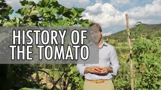 The History of the Tomato in 2 Minutes  Walks of Italy [upl. by Swagerty226]