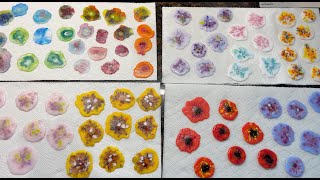 Creating Fused Glass Flower Elements [upl. by Pleasant]