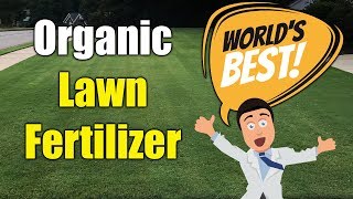 Best Organic Lawn Fertilizer [upl. by Lomasi673]