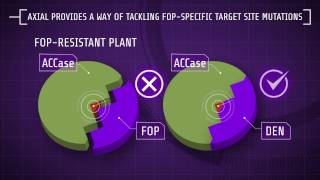 Explaining Herbicide Resistance Herbicide modes of action [upl. by Henrietta934]