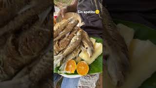 SIN APETITO🙂🐟🐟puro fósforo 😋 viralreel pescado pescadofresco viralshort viral [upl. by Lyell367]