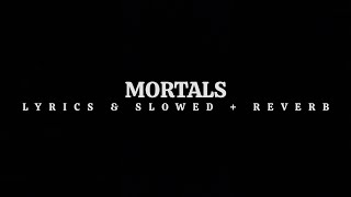 Warriyo  Mortals Slowed  Reverb Lyrics [upl. by Anelad25]