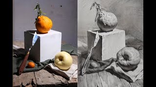 Still life Drawing in pencil [upl. by Dino]