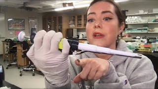 How to Pipet Micropipetting and Macropipetting Full Demo [upl. by Ellen256]