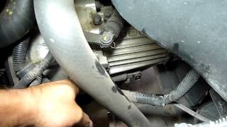 How to Change Manual Transmission Oil on an Hyundia Elantra [upl. by Yrhcaz834]