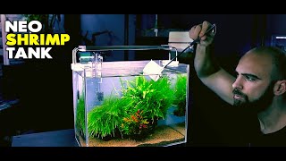 Aquascape Tutorial Neocaridina Shrimp Tank How To Step By Step Planted Aquarium Guide [upl. by Aened171]