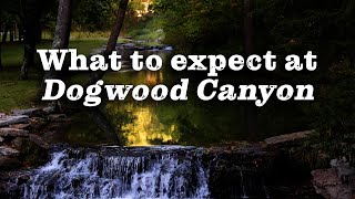 What to Expect at Dogwood Canyon Nature Park [upl. by Aikrahs]