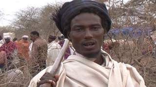 Gada system an indigenous democratic sociopolitical system of the Oromo [upl. by Pammy]