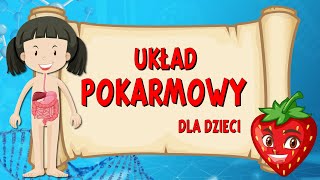 Układ pokarmowy 👅 Film edukacyjny dla DZIECI 🧒 [upl. by Lucille]