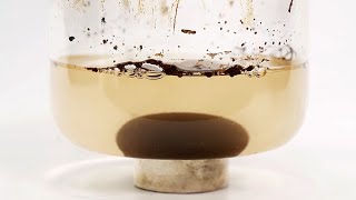 Cleaning up my ferrofluid waste [upl. by Pirbhai]