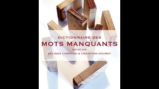 Belinda Cannone autour duquot Dictionnaire des mots manquantsquot [upl. by Arraeic46]