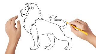 Comment dessiner un lion [upl. by Nylehtak]