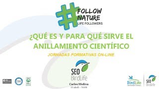 LIFE Followers  4º CURSO Live El Anillamiento científico ¿Qué es y para qué sirve [upl. by Etnaihc]