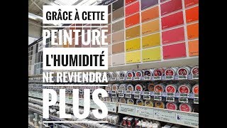 Quelle peinture utiliser contre LHUMIDITÉ [upl. by Kolodgie477]