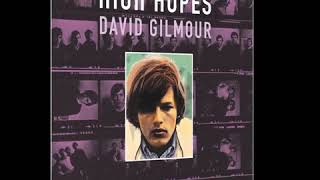 High Hopes David Gilmour [upl. by Nywled]