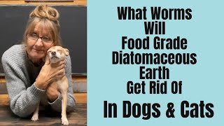 Deworming Dogs and Cats with Diatomaceous Earth Natural Parasite Control [upl. by Dnomso179]