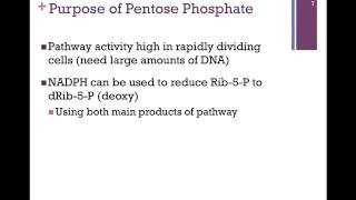 098Pentose Phosphate Pathway [upl. by Rehpatsirhc]