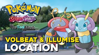 Pokemon Scarlet amp Violet Teal Mask DLC Volbeat amp Illumise Location [upl. by Wilden365]