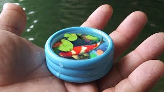 WORLDS SMALLEST Pool FISH POND [upl. by Jelene]