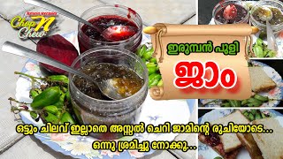 Bilimbi Jam  ഇരുമ്പന്‍ പുളി ജാം  Irumban Puli Jam  Kerala Recipe  ChopNChew [upl. by Froehlich]