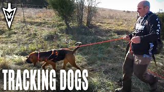 Tracking Deer with Dogs Does it work  Midwest Whitetail [upl. by Fretwell]