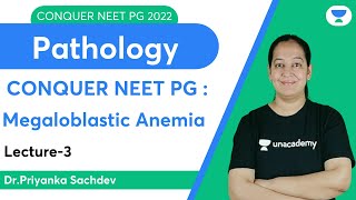 Conquer NEET PG 2022 Megaloblastic Anemia  Pathology  Lets crack NEET PG  DrPriyanka Sachdev [upl. by Ylrak36]