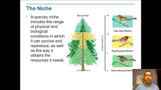 Habitats Niches and Species Interactions [upl. by Larkin]