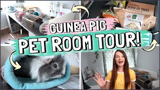 Guinea Pig PET ROOM TOUR DIY Cage Room Design and Storage Hacks [upl. by Neelrahs318]