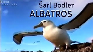 Šarl Bodler – ALBATROS Tekst [upl. by Attenor447]