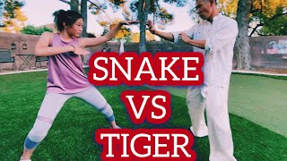 kung fu snake for beginners  tiger vs snake [upl. by Atsyrhc]