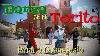 🐂 DANZA DEL TORITO ROMITA [upl. by Ahsatal]