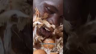 Chicken Laying eggs🥚murgi eggs shortvideo shorts [upl. by Zachariah]