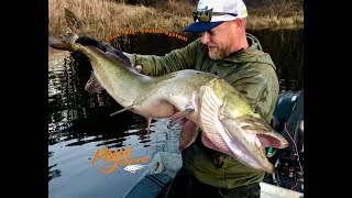 LEADER  Musky  Pike Step by Step Fly Fishing Leader [upl. by Ardnosak]