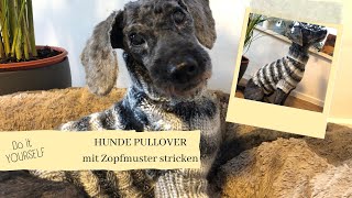 Hunde Pullover stricken mit Zopfmuster Schritt für Schritt Anleitung für Anfänger  Do it yourself [upl. by Magdalena]