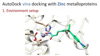 1 Environment setup  AutoDock vina docking with Zinc metalloproteins [upl. by Bernard]