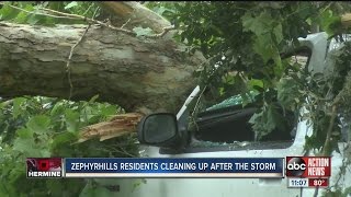 Zephyrhills residents cleaning up after Hurricane Hermine [upl. by Faulkner]