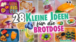 28 kleine Ideen für die Brotdose 🥯🫐⚡️ Einfaches Frühstück für Schule amp Kindergarten  mamiblock [upl. by Aiciram451]