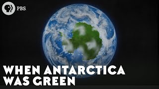 When Antarctica Was Green [upl. by Sherard]