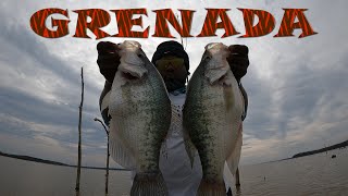 THE King Of All Crappie Lakes quotGrenada MISSISSIPPIquot [upl. by Wachtel81]