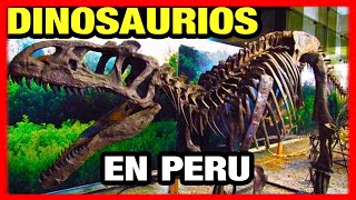 Fósiles de dinosaurios en Perú👉 Museo Historia Natural de U Ricardo Palmaturismo en pandemia 2022 [upl. by Bagley]