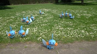 Pokémon GO Community Day Mudkip Everywhere [upl. by Beal]