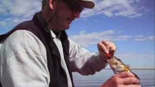 23andys fishing adventuresa 3 day tour on crawling valley [upl. by Peder]